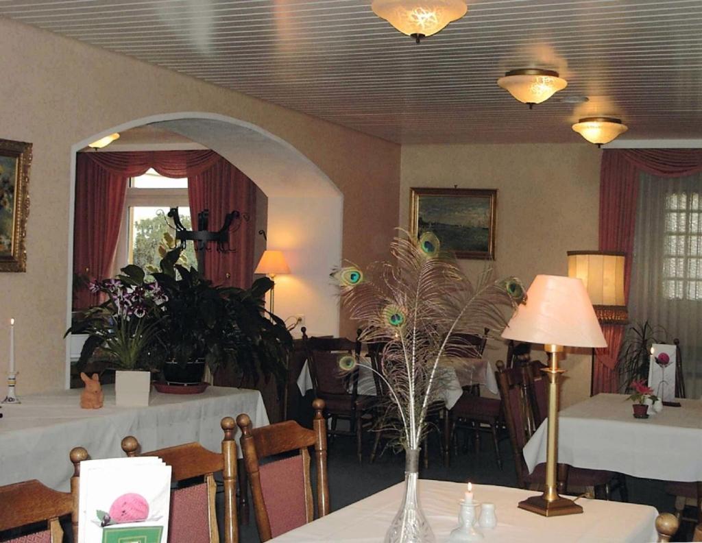 Hotel Villa Luise Bad Rothenfelde Exterior photo
