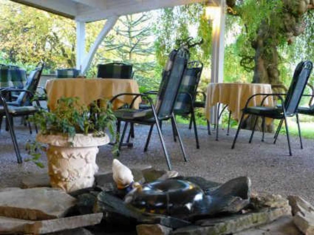Hotel Villa Luise Bad Rothenfelde Exterior photo